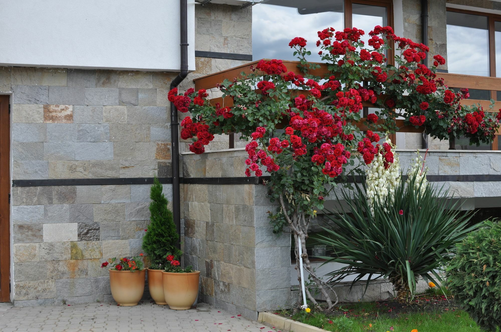 Gardenia Hills Hotel Slantchev Briag Extérieur photo
